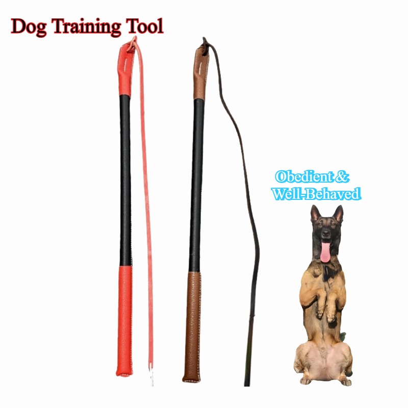 Leatherwork Training - Leder-Risspeitsche – Hunde-Trainingsgerät, Hundetraining, Artefakt, kortikale