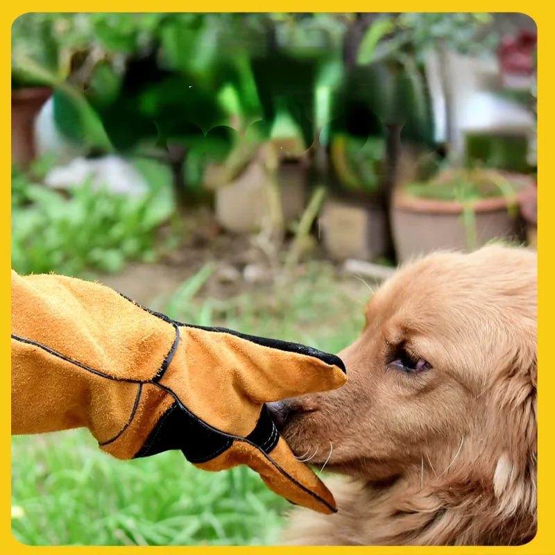 Haustierhandschuhe, Rindsleder – Leatherwork Training Bewertung und Preis