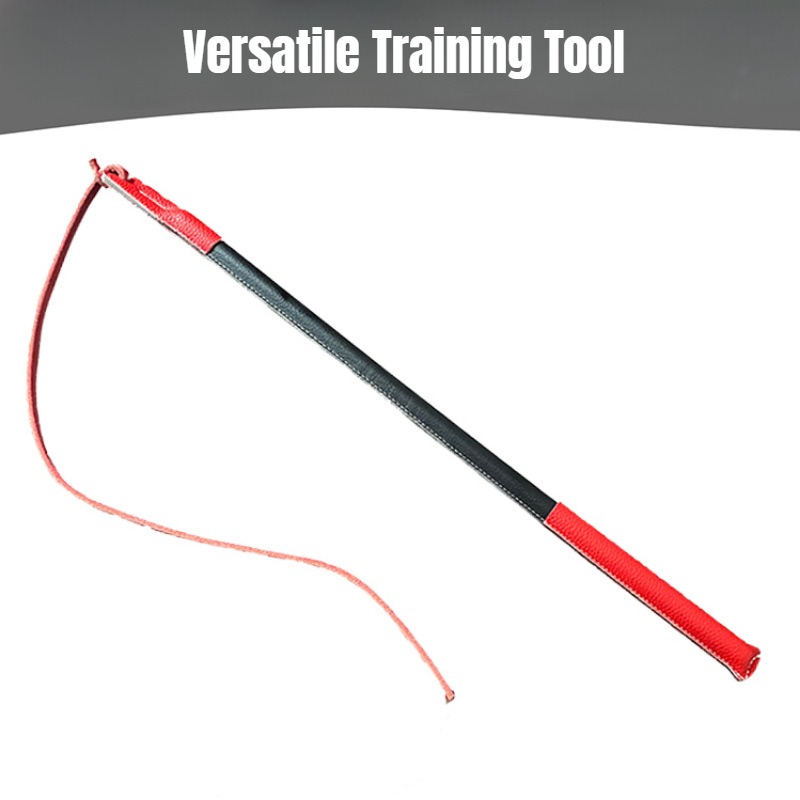 Leder-Risspeitsche – Hunde-Tra – Leatherwork Training Bewertung und Preis