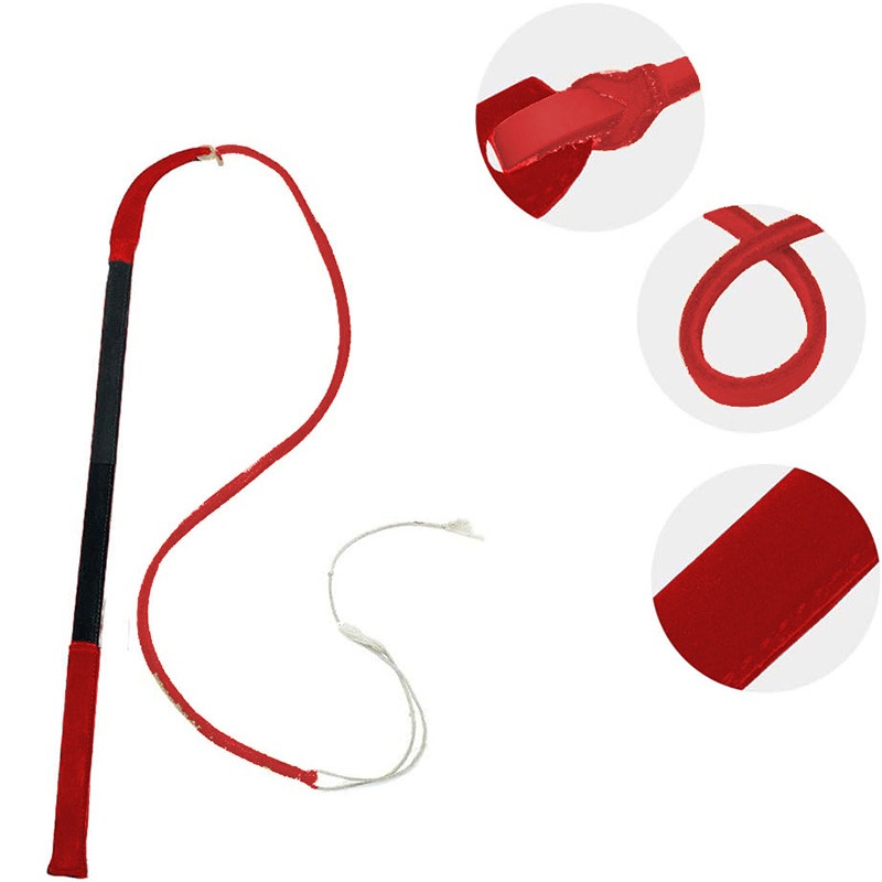 Leder-Risspeitsche – Hunde-Tra – Leatherwork Training Bewertung und Preis