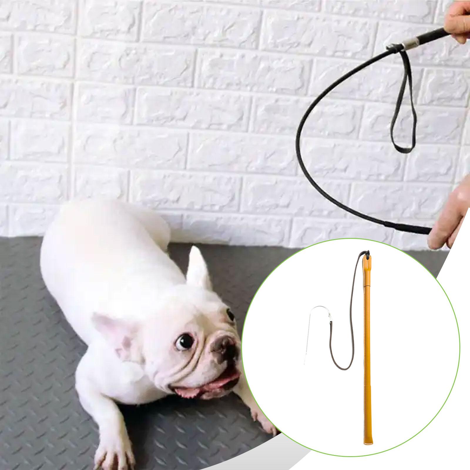 Verschleißfeste PU-Leder-Hunde – Leatherwork Training Bewertung und Preis