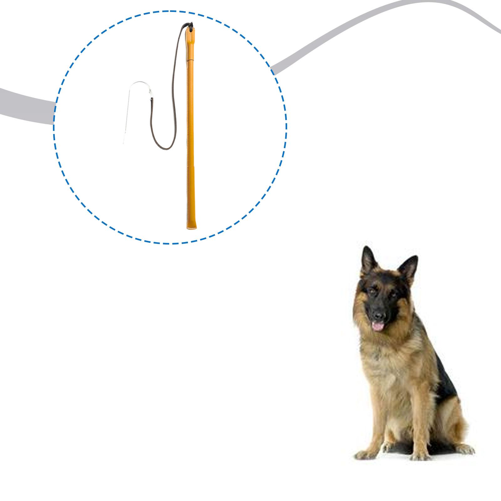 Verschleißfeste PU-Leder-Hunde – Leatherwork Training Bewertung und Preis