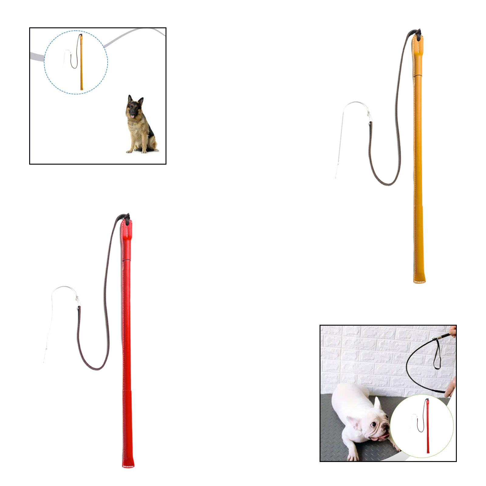 Verschleißfeste PU-Leder-Hunde – Leatherwork Training Bewertung und Preis