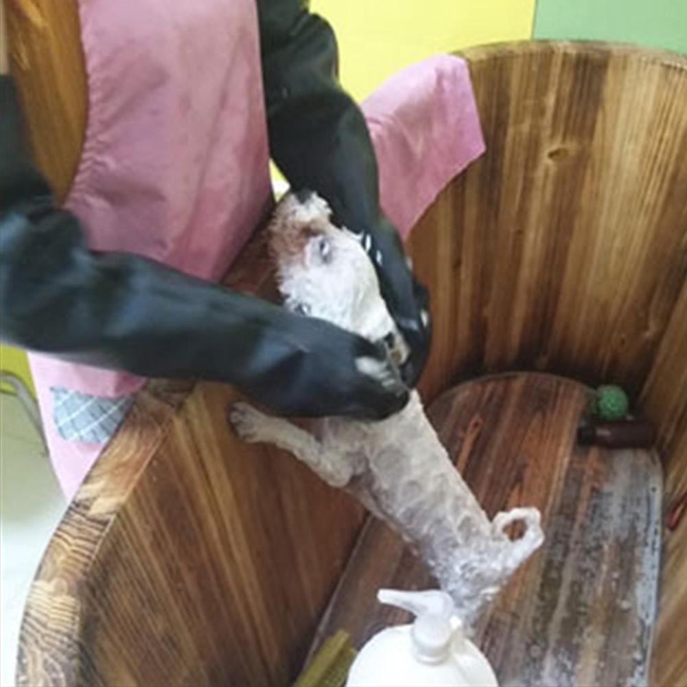Haustierhandschuhe, Leder, Ant – Leatherwork Training Bewertung und Preis